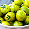 Tomato Green Zebra